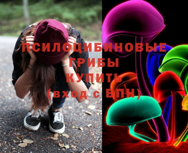 СК Арсеньев